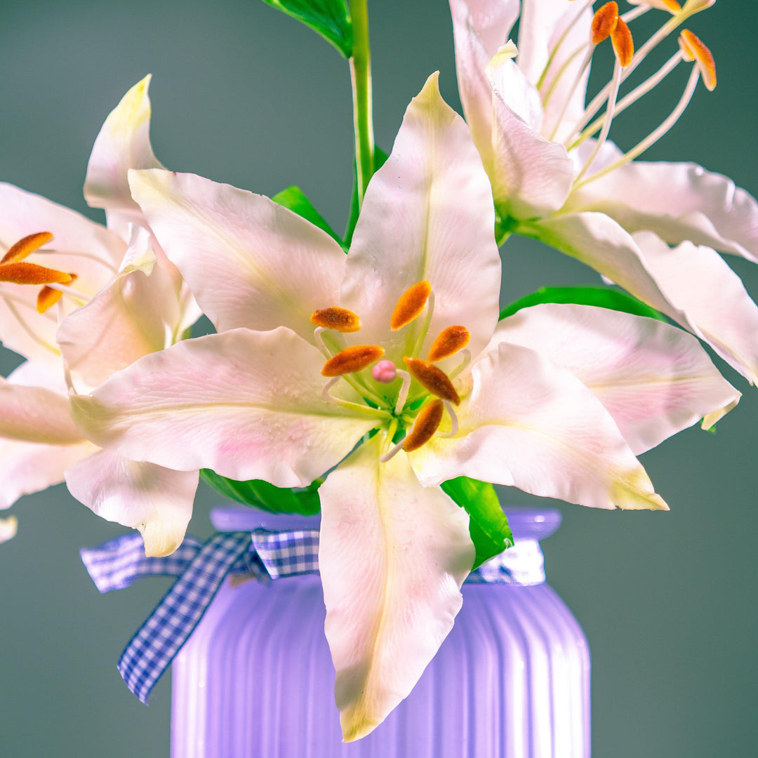 Lilium o. 'Sunny Bonaire' ~ Lily Looks™ Sunny Bonaire Oriental Lily